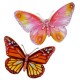 Autocollants decoratifs Enfants Stickers muraux Papillons