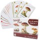 Jeu de cartes éducatif 7 familles Savoir + Les champignons Enfant 6 ans +