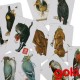 Jeu de cartes Le Mistigri Black Peter Jeu de paires dès 4 ans
