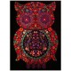 Colorvelvet coloriage velours Hibou 47x35