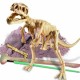 Deterrer un dinosaure Tyrannosaure rex Kit de construction garçons 8 ans +