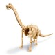 Déterre ton dinosaure Brachiosaure Kit de construction garçons 8 ans +