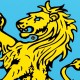 Bouclier de chevalier Lion jaune Déguisement médiéval