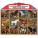 12 chevaux figurines dans présentoir en bois