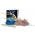 kit du petit archéologue Déterre ton dinosaure Ptérosaure 8 ans +