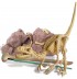 kit du petit archéologue Déterre ton dinosaure Vélociraptor 8 ans +