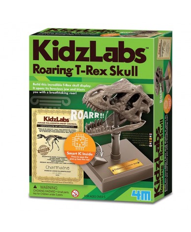 Kidz Labs Crâne de Dinosaure Mécanique - 4M - À partir de 5 ans