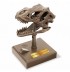 Kidz Labs Crâne de Dinosaure Mécanique - 4M - À partir de 5 ans